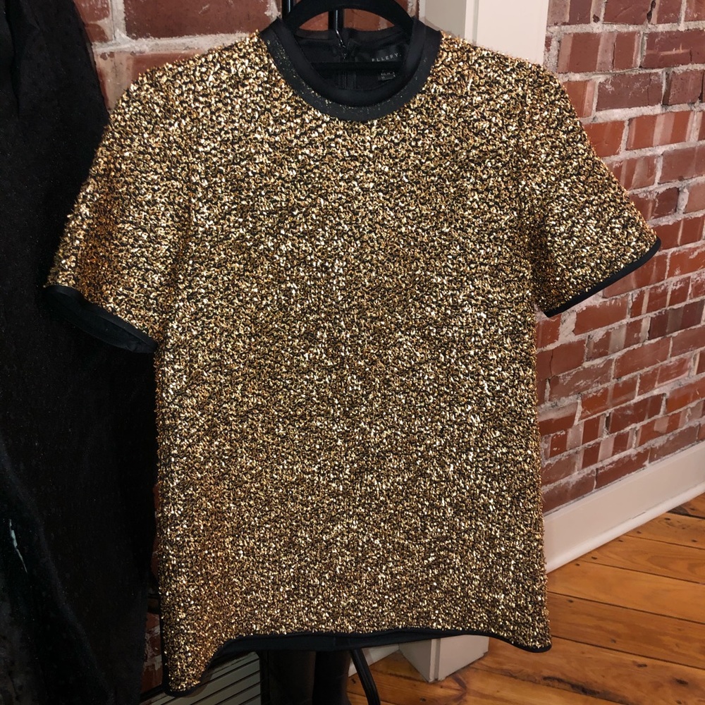 Designer Ellery Top (absolutely gorgeous!)